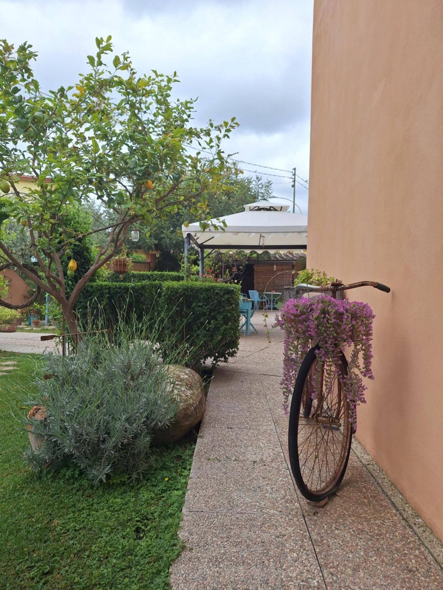 B&B Casa Piras Iun3880 บารุมินิ ภายนอก รูปภาพ